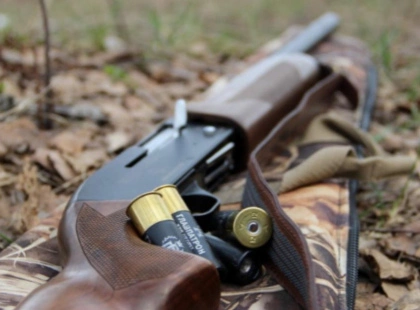 На Київщині ухвалили рішення відстрілювати диких хижих тварин до лютого 2026 року