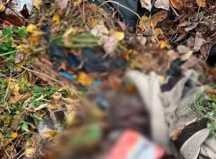 Побив до смерті та присипав листям: у Києві затримали підозрюваного у вбивстві знайомого