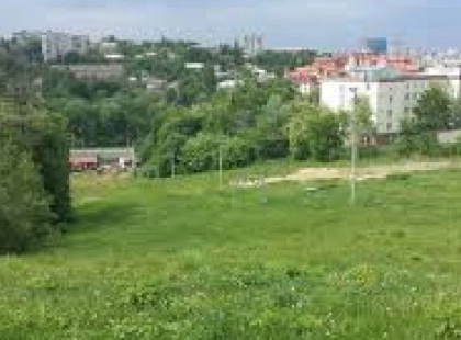У Києві пройде вирішальний суд щодо захисту Протасового яру