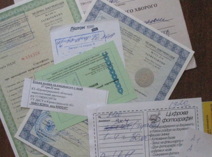 У Києві шахраї продають фейкові меддовідки водіям через фішингові сайти — попереджає кіберполіція