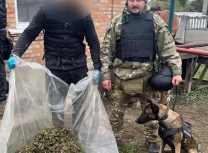 На Київщині службова вівчарка Тесла допомогла виявити 30 кг речовини, схожої на наркотики