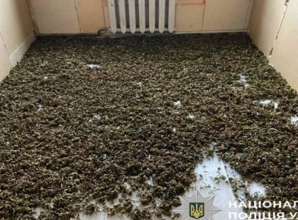 Поліція затримала мешканця Білоцерківського району, який вирощував 120 кг канабісу на подвір’ї