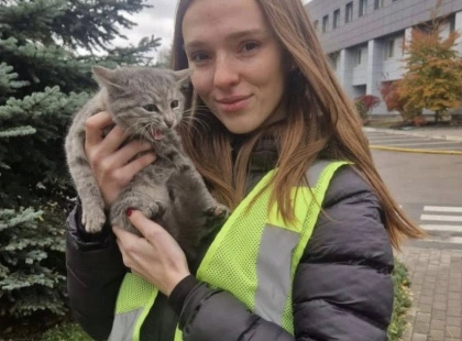 Кошеня з-під уламків у Києві врятувала та прихистила слідча поліції