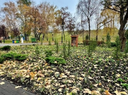 Куренівський парк готують до нового сезону — висадили квіти, злаки та хвойні рослини