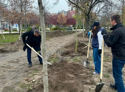 Осіннє озеленення Києва: нові липи, клени й яблуні прикрасили столицю