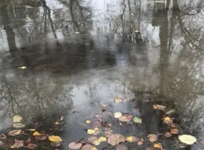Вівторок у Києві буде похмурим і дощовим, але теплим