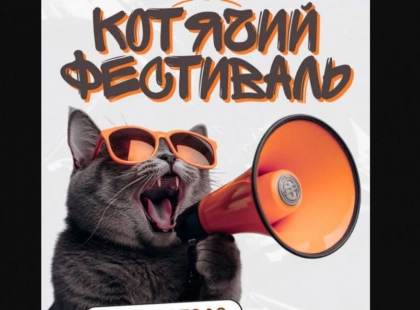 У Києві пройде «КОТИКИ ФЕСТ» — з фотозонами, лотереями й благодійним маркетом