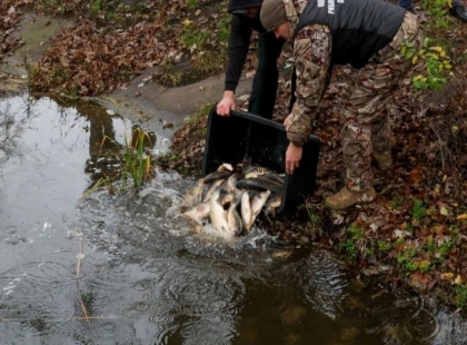 Озера Бородянки отримали нове дихання: громада заселила водойми 400 кг риби