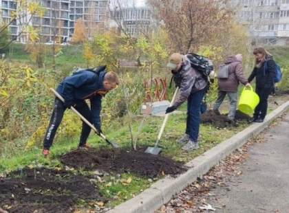 Затишок і чисте повітря: у парку «Позняки» висадили молоді верби