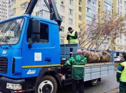 Київзеленбуд поповнює зелені зони: у Солом’янському висадили клени й липи