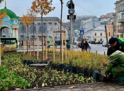 На Контрактовій площі оновили сквер: Поділ отримав сучасний квітковий простір з 16 тисячами рослин
