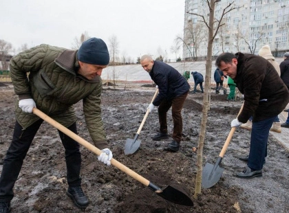 Київ озеленюється попри війну: 234 тисячі сіянців від трьох лісопаркових господарств