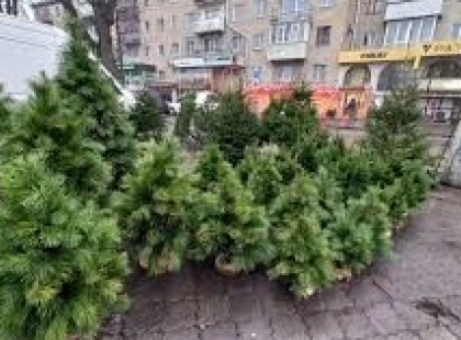 Офіційні ялинкові ярмарки у Києві: адреси для всіх районів і терміни роботи