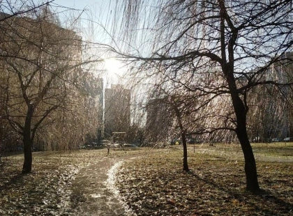 Погода в Києві 5 грудня: м’яка зима, без опадів і з теплим вітром