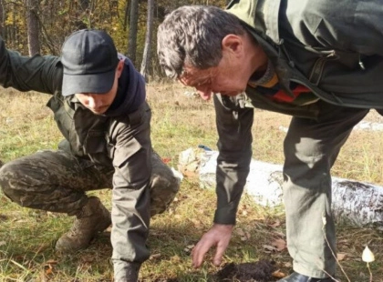 У київських лісах з’явилися саджанці від тисячолітніх дубів Шевченка