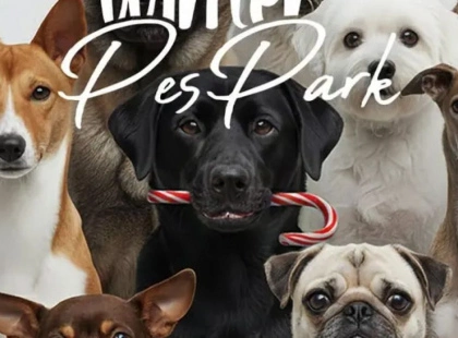 На Арт-заводі «Платформа» відкривають зимовий pet-friendly простір для собак