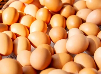 Де в Києві нині купити фермерські продукти: перелік ярмарків