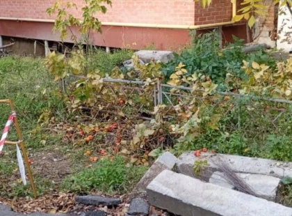 Без сміття і розриттів: що впорядкували у районах столиці за останні дні