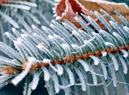 Нічний сніг і до −10°: у Києві 24 грудня різко вдарить мороз