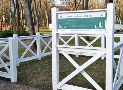 У Києві з 2 січня запрацюють 72 пункти прийому живих новорічних ялинок