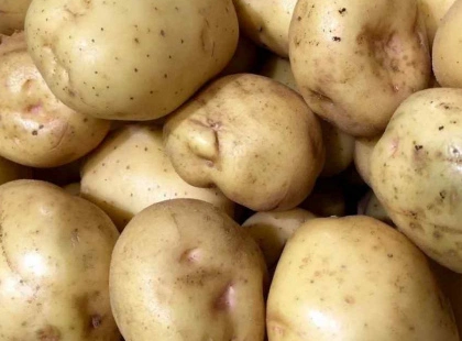 Мільйони на базові продукти: що купує київська міська лікарня №8