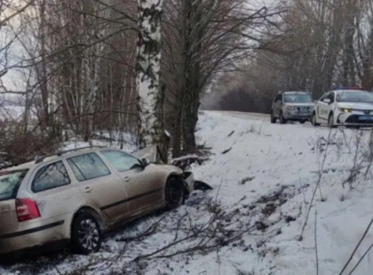 П’яний водій та розбита Skoda: під Києвом троє людей опинилися в лікарні через поїздку в дерево