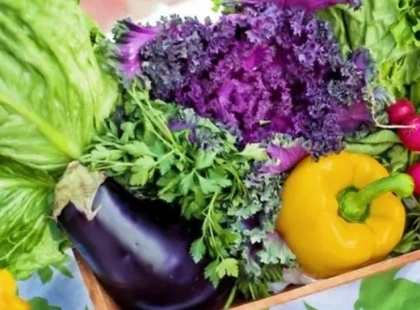 Де купити продукти від фермерів: графік ярмарків у Києві на 13–18 січня