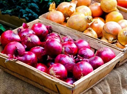 Продуктові ярмарки у Києві на вихідних: перелік локацій