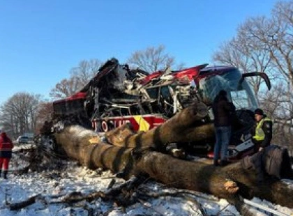 Аварія на маршруті «Відень — Київ»: автобус врізався в дерево на Львівщині, семеро пасажирів у лікарні