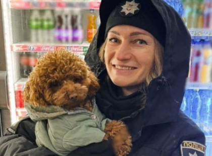 Маленький втікач у великому місті: в Ірпені поліцейська врятувала той-пуделя, що замерзав біля магазину
