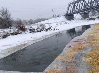 В Ірпені рятують птахів від морозів: для качок і лебедів розколюють лід на водоймах
