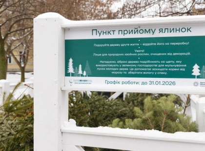 Ялинковий рекорд у столиці: кияни здали 7 тисяч дерев на переробку