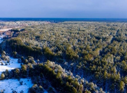 Землі для оборони: Зеленський змінив межі Чорнобильського заповідника — що це означає для Києва й країни