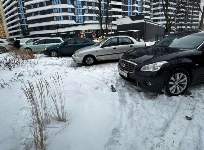 Дощовий садок у сквері на Воскресенській окупували автомобілісти