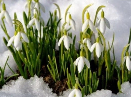 Весна на порозі: у Києві 28 лютого до +5°, але зранку можливий небезпечний лід