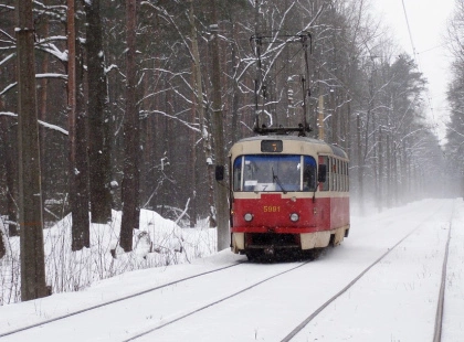 Трамвай у Пущі-Водиці зійшов з рейок: лісову трасу не ремонтують вже вісім років