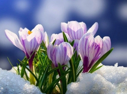 У Києві потеплішає до +9°C: синоптики розповіли, якою буде погода 2-8 березня