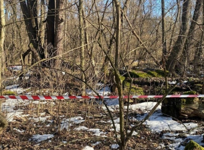 У Голосіївському районі знайшли бойову частину ворожого дрона