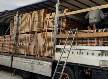 У Києві судитимуть чоловіка за спробу контрабанди дубової деревини на понад 700 тис. грн