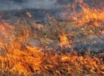 Пожежа у Подільському районі Києва: рятувальники гасять масштабне загоряння