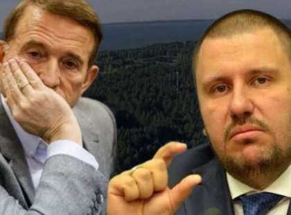 Під Києвом державі повернули 9,5 га лісу: ділянки були пов’язані зі структурами Медведчука