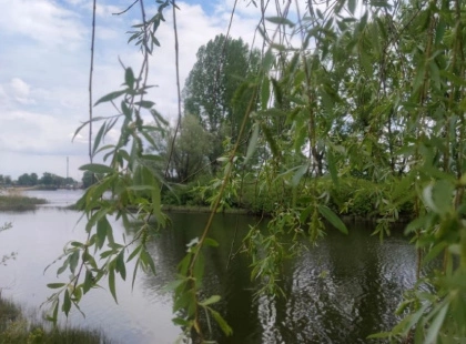 У Києві збудують пішохідний міст у парку на Прирічній за підтримки Литви
