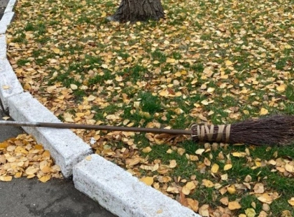Толока у Києві: понад 120 локацій, 220 дерев і 3 тисячі квітів