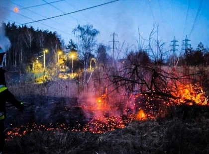 43 пожежі за добу на Київщині та 1 загиблий: понад 10 га землі знищено вогнем