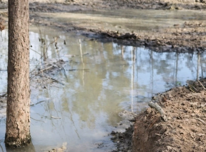 Прорив дамби на Київщині: вода з військового кладовища рухається до Віти-Поштової