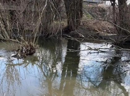 На Київщині стічні води потрапляють у річку Буча: екологи взялися за перевірку