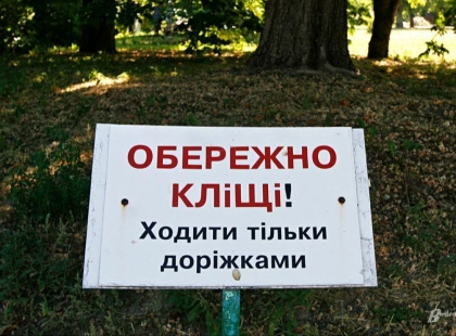 Весняна небезпека в парках: як уберегтися від кліщів у Києві