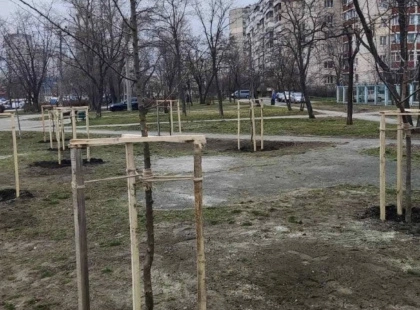 У столиці висадили сотні дерев: Дніпровський та Деснянський райони оновлюють зелені зони