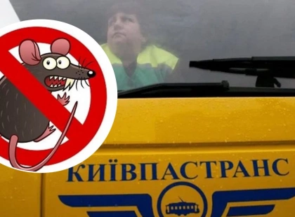 Київпастранс готує велику зачистку - тендер на боротьбу з гризунами