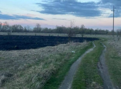 На Вишгородщині 19-річний хлопець запустив феєрверк і спричинив пожежу на полі